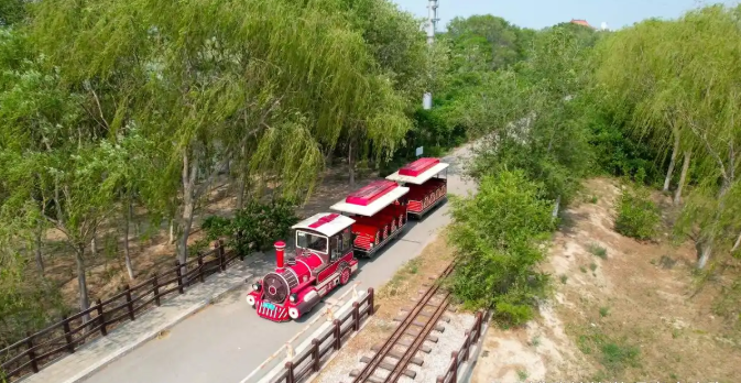 乘西青郊野公园观光小火车，邂逅自然野趣之旅