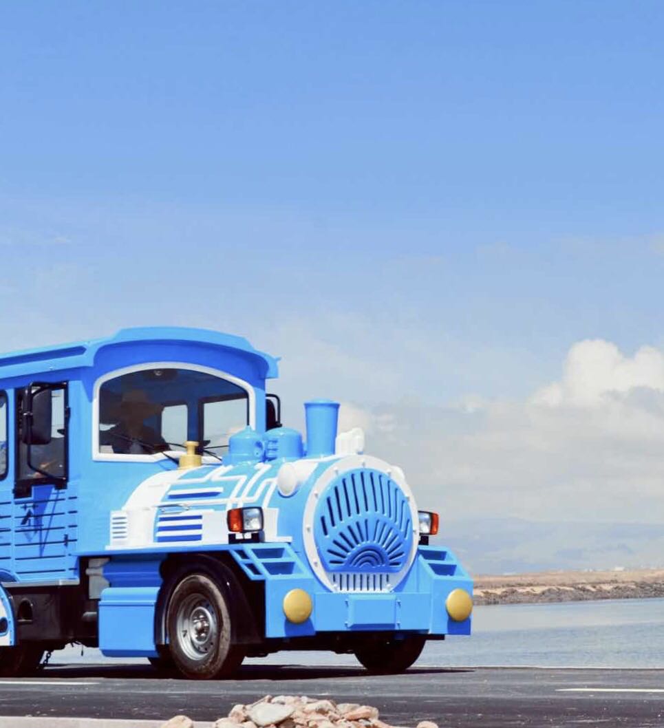 网无轨观光小火车